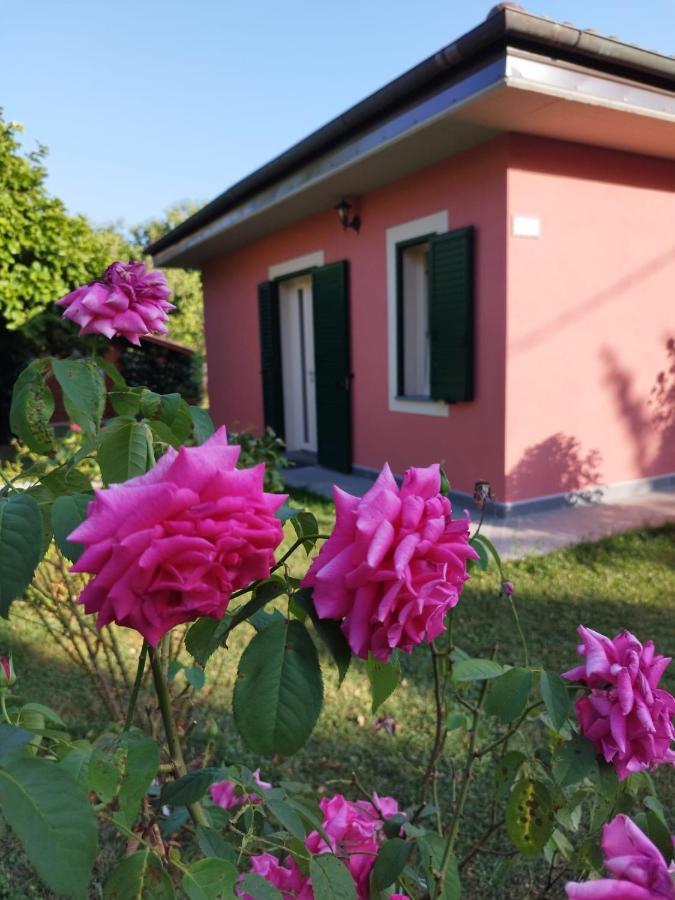 Villa La Casina Barga Exterior foto